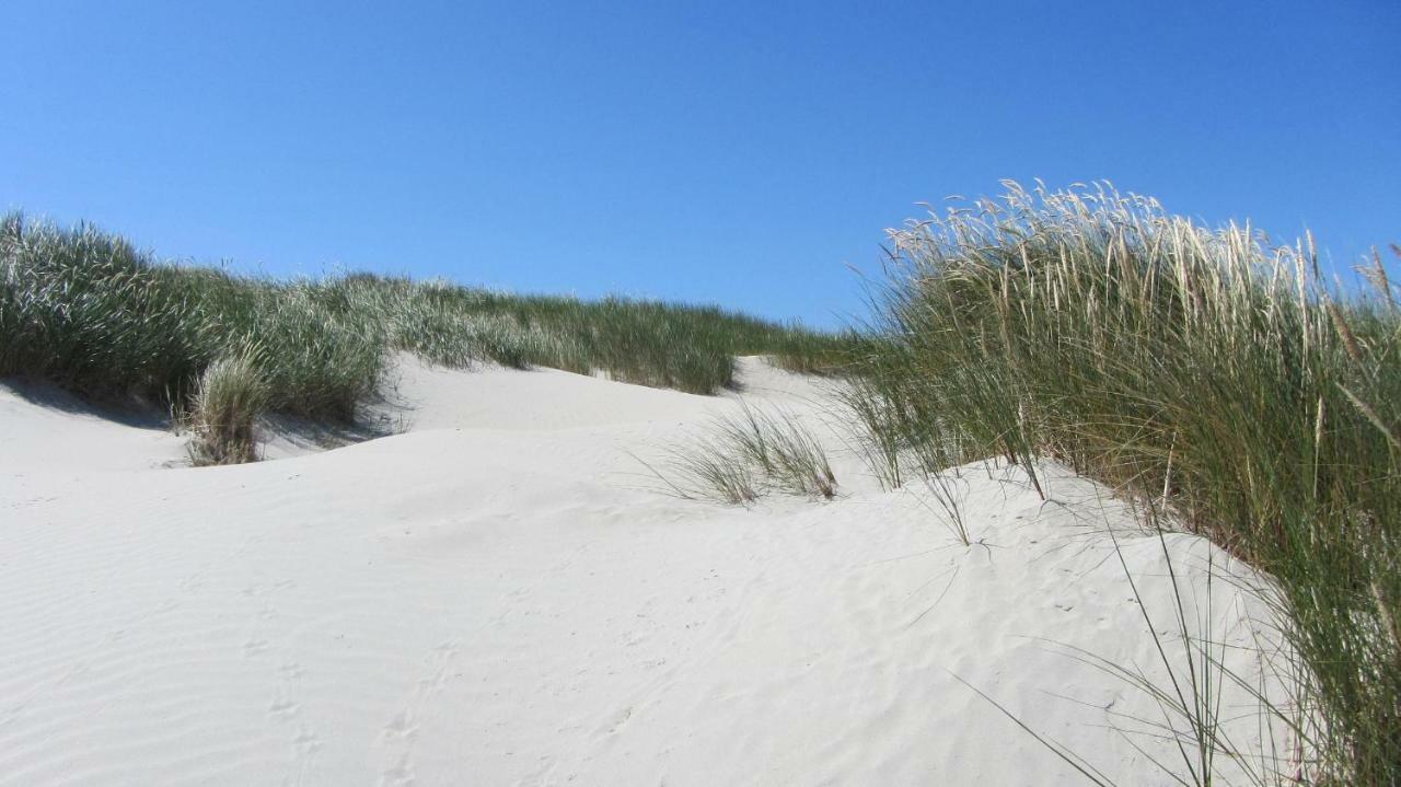 Apartament Steiner Strandappartements 208 Sued- Landseite Stein (Schleswig-Holstein)